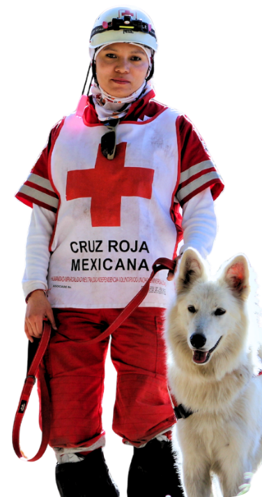 K9